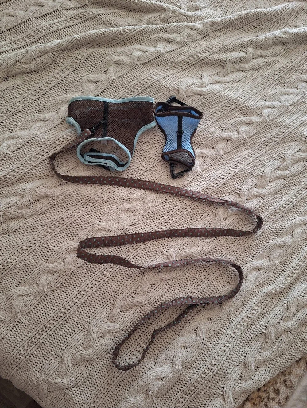 Dog Leash Bundle Size Small And XS